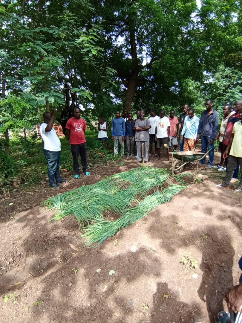 Apprentissage et autonomie