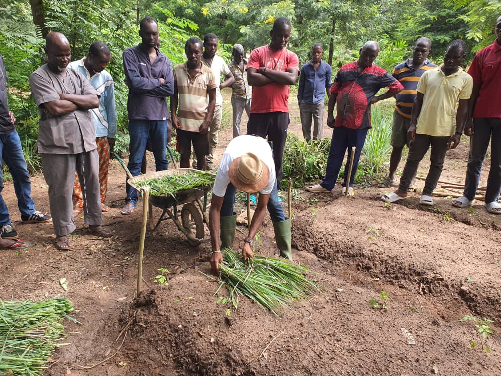 Apprentissage et autonomie